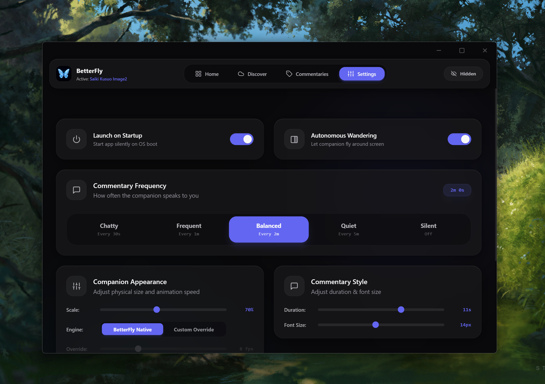 Settings Interface